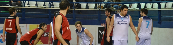 VOLVIÓ A LA PUNTA